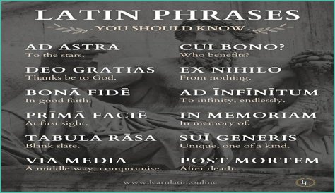 A Profile Of A Latin Beauty